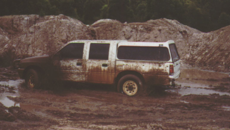 Rodeo at play in the mud